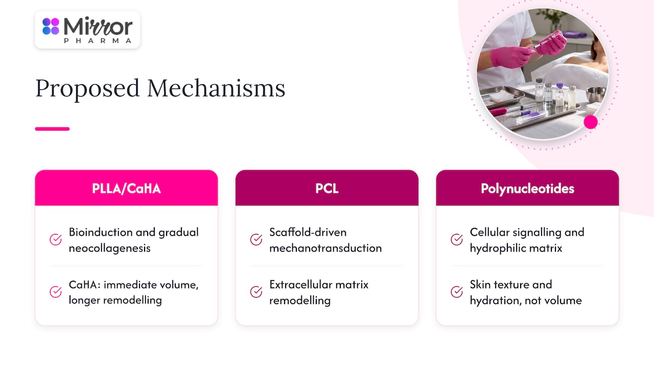 Comparison of mechanisms across three biostimulator groups
